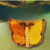 Keepsake Box - Butterfly